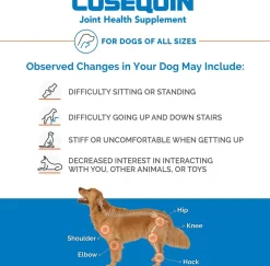 Nutramax Cosequin Maximum Strength Joint Health Supplement for Dogs - With Glucosamine, Chondroitin, MSM, and Hyaluronic Acid
