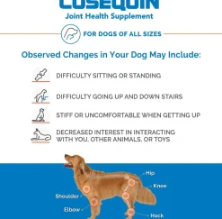 Nutramax Cosequin Senior Joint Health Supplement for Senior Dogs - With Glucosamine, Chondroitin, Omega-3 for Skin and Coat Health and Beta Glucans for Immune Support