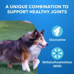 Nutramax Cosequin Standard Strength Joint Health Supplement for Dogs, With Glucosamine and MSM, 75 Chewable Tablets