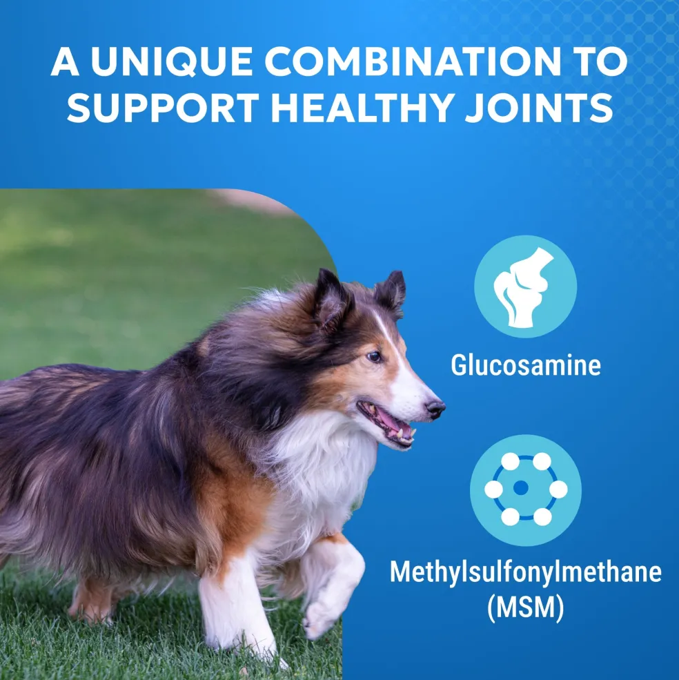 Nutramax Cosequin Standard Strength Joint Health Supplement for Dogs, With Glucosamine and MSM, 75 Chewable Tablets