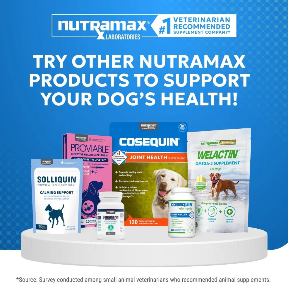 Nutramax Cosequin Standard Strength Joint Health Supplement for Dogs, With Glucosamine and MSM, 75 Chewable Tablets