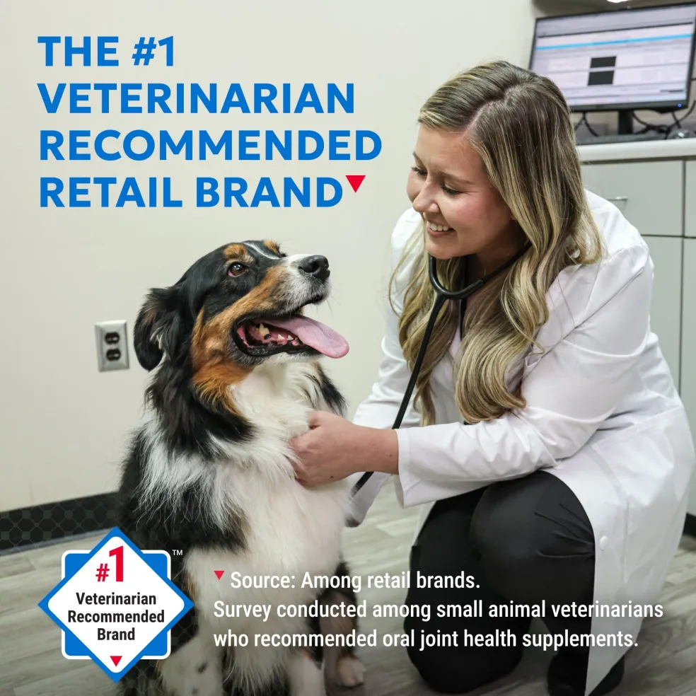 Nutramax Cosequin Standard Strength Joint Health Supplement for Dogs, With Glucosamine and MSM, 75 Chewable Tablets