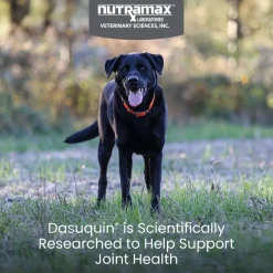 Nutramax Dasuquin Joint Health Supplement for Large Dogs - With Glucosamine, Chondroitin, ASU, Boswellia Serrata Extract, and Green Tea Extract, Soft Chews