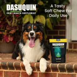 Nutramax Dasuquin Joint Health Supplement for Large Dogs - With Glucosamine, Chondroitin, ASU, MSM, Boswellia Serrata Extract, Green Tea Extract, Soft Chews