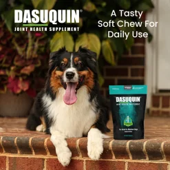 Nutramax Dasuquin Joint Health Supplement for Small to Medium Dogs - With Glucosamine, Chondroitin, ASU, Boswellia Serrata Extract, Green Tea Extract, Soft Chews