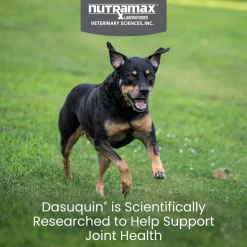 Nutramax Dasuquin Joint Health Supplement for Small to Medium Dogs - With Glucosamine, Chondroitin, ASU, Boswellia Serrata Extract, Green Tea Extract, Soft Chews