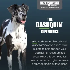 Nutramax Dasuquin Joint Health Supplement for Large Dogs - With Glucosamine, Chondroitin, ASU, Boswellia Serrata Extract, and Green Tea Extract, Chewable Tablets