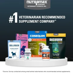 Nutramax Dasuquin Joint Health Supplement for Large Dogs - With Glucosamine, Chondroitin, ASU, Boswellia Serrata Extract, and Green Tea Extract, Chewable Tablets