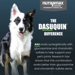 Nutramax Dasuquin Joint Health Supplement for Small to Medium Dogs - With Glucosamine, Chondroitin, ASU, MSM, Boswellia Serrata Extract, Green Tea Extract, Soft Chews