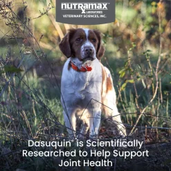 Nutramax Dasuquin Joint Health Supplement for Small to Medium Dogs - With Glucosamine, Chondroitin, ASU, MSM, Boswellia Serrata Extract, Green Tea Extract, Soft Chews