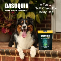 Nutramax Dasuquin Joint Health Supplement for Small to Medium Dogs - With Glucosamine, Chondroitin, ASU, MSM, Boswellia Serrata Extract, Green Tea Extract, Soft Chews