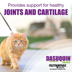 Nutramax Dasuquin Joint Health Supplement for Cats - With Glucosamine, Chondroitin, ASU, Boswellia Serrata Extract, and Green Tea Extract, 84 Capsules