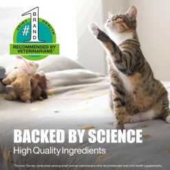 Nutramax Dasuquin Joint Health Supplement for Cats - With Glucosamine, Chondroitin, ASU, Boswellia Serrata Extract, and Green Tea Extract, 84 Capsules
