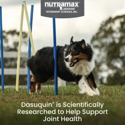 Nutramax Dasuquin with MSM Joint Health Supplement for Large Dogs - With Glucosamine, MSM, Chondroitin, ASU, Boswellia Serrata Extract, and Green Tea Extract, Chewable Tablets
