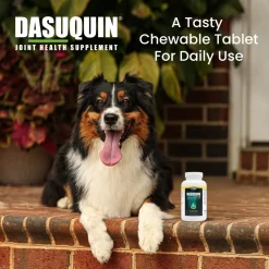 Nutramax Dasuquin with MSM Joint Health Supplement for Large Dogs - With Glucosamine, MSM, Chondroitin, ASU, Boswellia Serrata Extract, and Green Tea Extract, Chewable Tablets