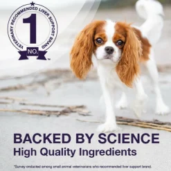 Nutramax Denamarin Liver Health Supplement for Dogs of All Sizes, With S-Adenosylmethionine (SAMe) and Silybin
