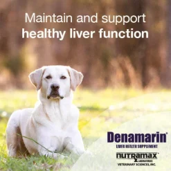 Nutramax Denamarin Liver Health Supplement for Dogs of All Sizes, With S-Adenosylmethionine (SAMe) and Silybin