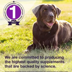Nutramax Denamarin Liver Health Supplement for Large Dogs, With S-Adenosylmethionine (SAMe) and Silybin