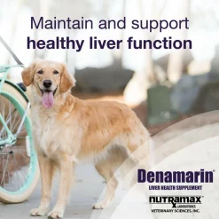 Nutramax Denamarin Liver Health Supplement for Large Dogs, With S-Adenosylmethionine (SAMe) and Silybin