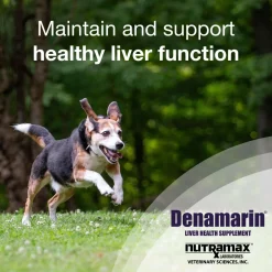Nutramax Denamarin Liver Health Supplement for Medium Dogs - With S-Adenosylmethionine (SAMe) and Silybin, Tablets