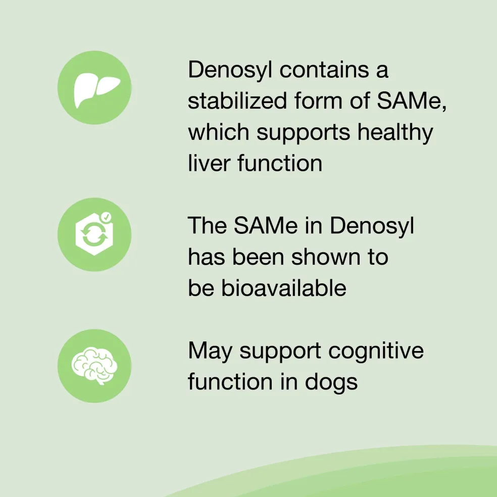 Nutramax Denosyl Liver and Brain Health Supplement for Large Dogs, With S-Adenosylmethionine (SAMe)
