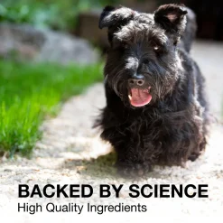 Nutramax Denosyl Liver and Brain Health Supplement for Medium Dogs, With S-Adenosylmethionine (SAMe)