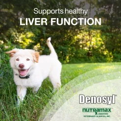 Nutramax Denosyl Liver and Brain Health Supplement for Medium Dogs, With S-Adenosylmethionine (SAMe)
