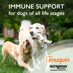 Nutramax Imuquin Immune Health Supplement Powder for Dogs, 30 Packets