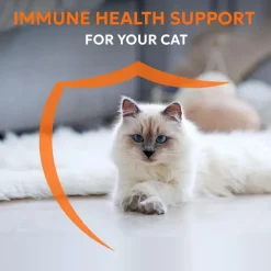 Nutramax Imuquin Immune Health Supplement for Cats, 30 Sprinkle Capsules