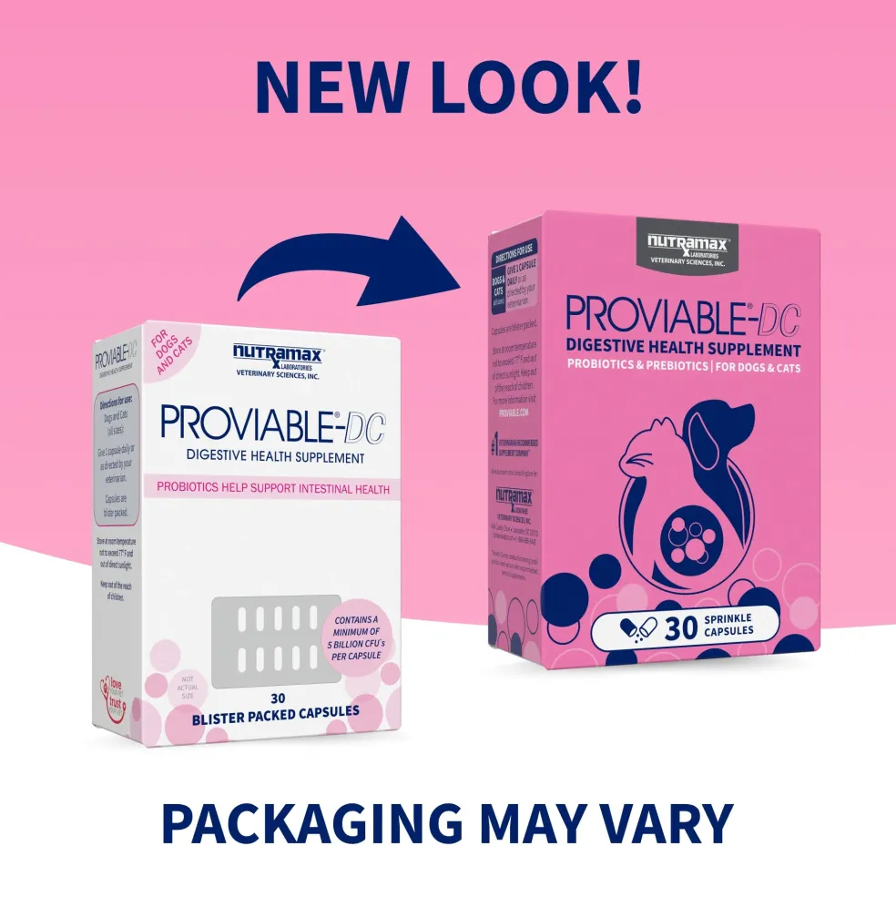 Nutramax Proviable-DC Digestive Health Supplement - Probiotics for Dogs & Cats