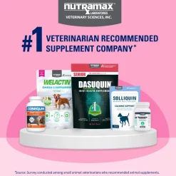 Nutramax Proviable-DC Digestive Health Supplement - Probiotics for Dogs & Cats