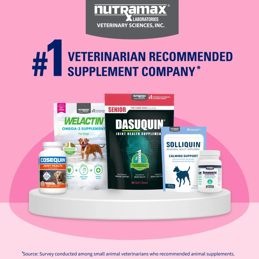 Nutramax Proviable-DC Digestive Health Supplement - Probiotics for Dogs & Cats