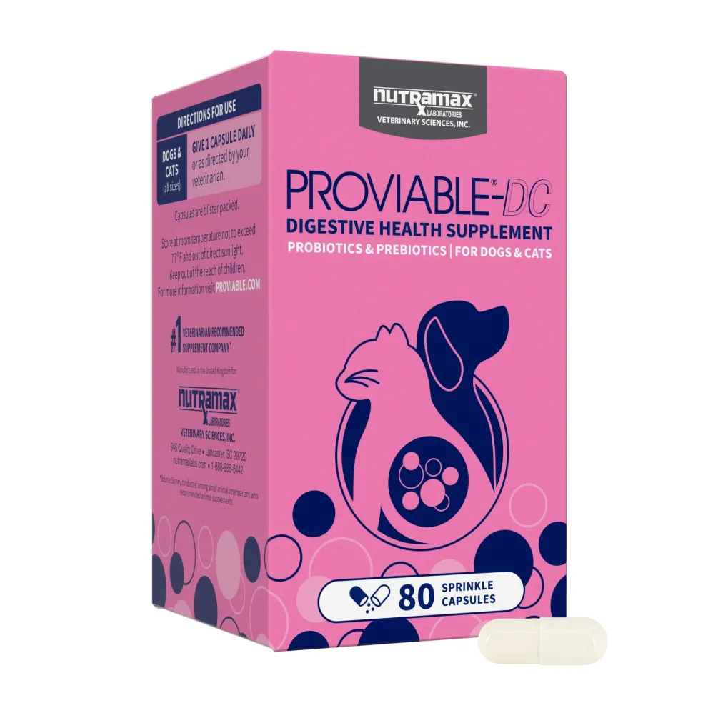 Nutramax Proviable-DC Digestive Health Supplement - Probiotics for Dogs & Cats