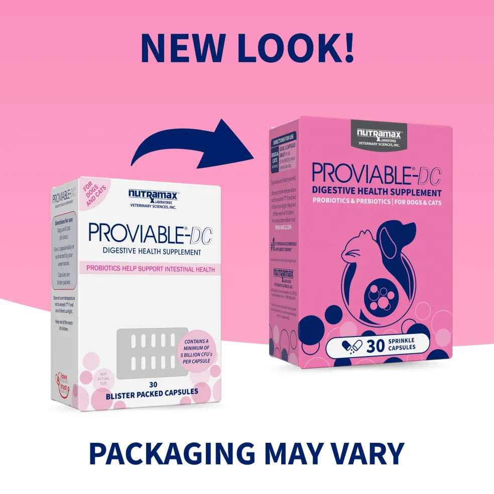 Nutramax Proviable-DC Digestive Health Supplement - Probiotics for Dogs & Cats