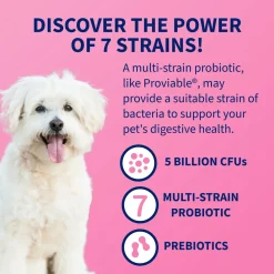 Nutramax Proviable-DC Digestive Health Supplement - Probiotics for Dogs & Cats