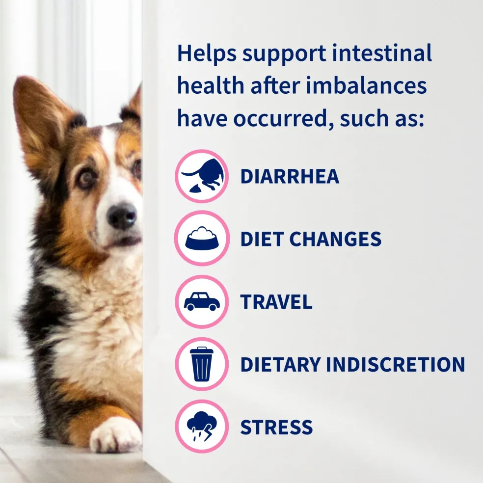 Nutramax Proviable-DC Digestive Health Supplement - Probiotics for Dogs & Cats