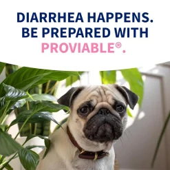 Nutramax Proviable Digestive Health Supplement Kit for Cats And Dogs