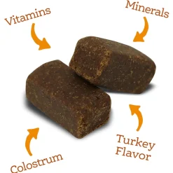 NutriSource AmpliFull Multivitamin Soft Chews Dogs Supplement, Turkey Flavor, 70-count