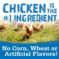 NutriSource Soft Tender Dog Treats with Chicken (14 oz)