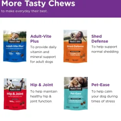 Nutri-Vet Bladder Control Supplement for Dogs to Help Prevent Incontinence (90 chewable tablets)