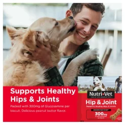 Nutri-Vet Hip & Joint Extra Strength Biscuits for Dogs (6 lb)