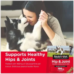 Nutri-Vet Hip & Joint Regular Strength Biscuits for Dogs