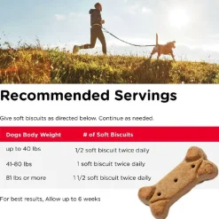 Nutri-Vet Hip & Joint Regular Strength Biscuits for Dogs
