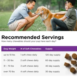 Nutri-Vet Pre & Probiotic Digestive Supplement for Dogs, 120 soft chews