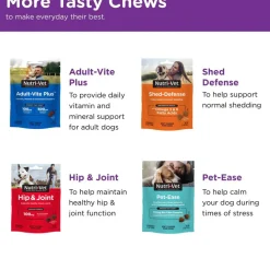 Nutri-Vet Pre & Probiotic Digestive Supplement for Dogs, 120 soft chews