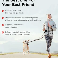 Nutri-Vet Pre & Probiotic Digestive Supplement for Dogs, 120 soft chews