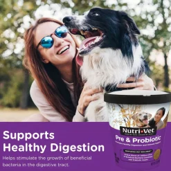 Nutri-Vet Pre & Probiotic Digestive Supplement for Dogs, 120 soft chews