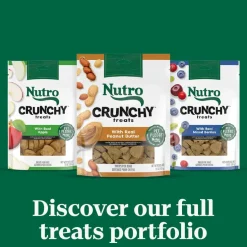 Nutro Crunchy Biscuits with Real Mixed Berries Treats For Dogs