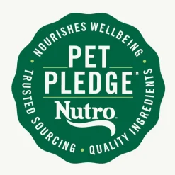 Nutro Crunchy Biscuits with Real Mixed Berries Treats For Dogs