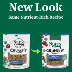 Nutro Crunchy Biscuits with Real Mixed Berries Treats For Dogs